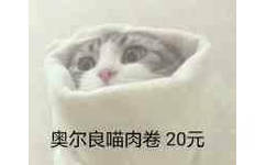 奥尔良喵肉卷20元