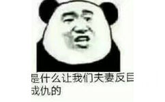 是什么让我们夫妻反成仇的