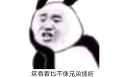 这看着也不像兄弟情啊