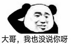 大哥，我也没说你呀