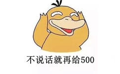 不说话，就再给500