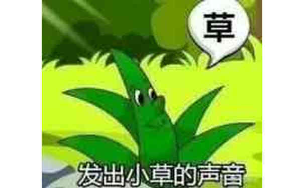 发出小草的声音