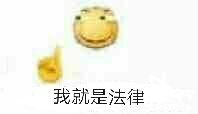 我就是法律