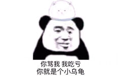 你骂我我吃亏，你就是个小乌龟