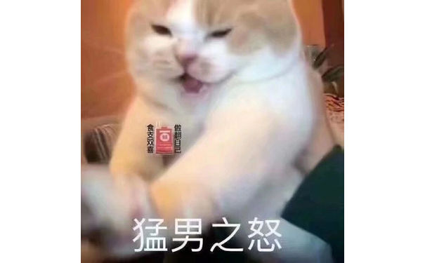 猛男之怒