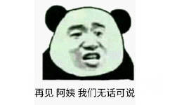 再见阿姨，我们无话可说