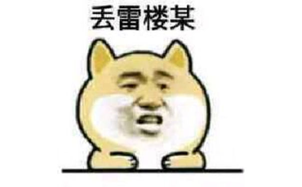 丢雷楼某