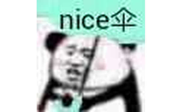 nice伞