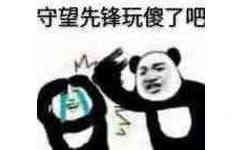 守望先锋玩傻了吧