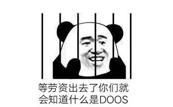 等劳资出去了，你们就会知道什么是DOOS