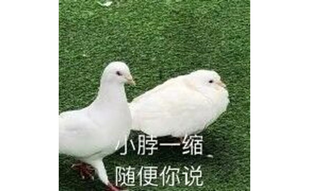 小脖一缩，随便你说