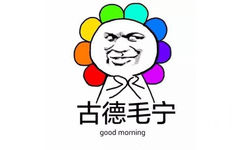 古德毛宁good morning