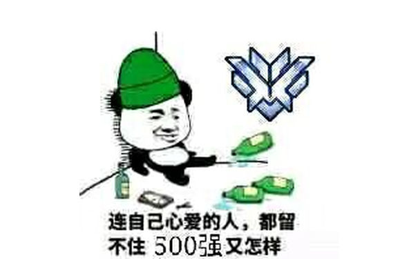 连自己心爱的人，都留不住，500强又怎样