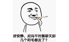 好安静，尼玛平时能聊天那几个叼毛哪去了？