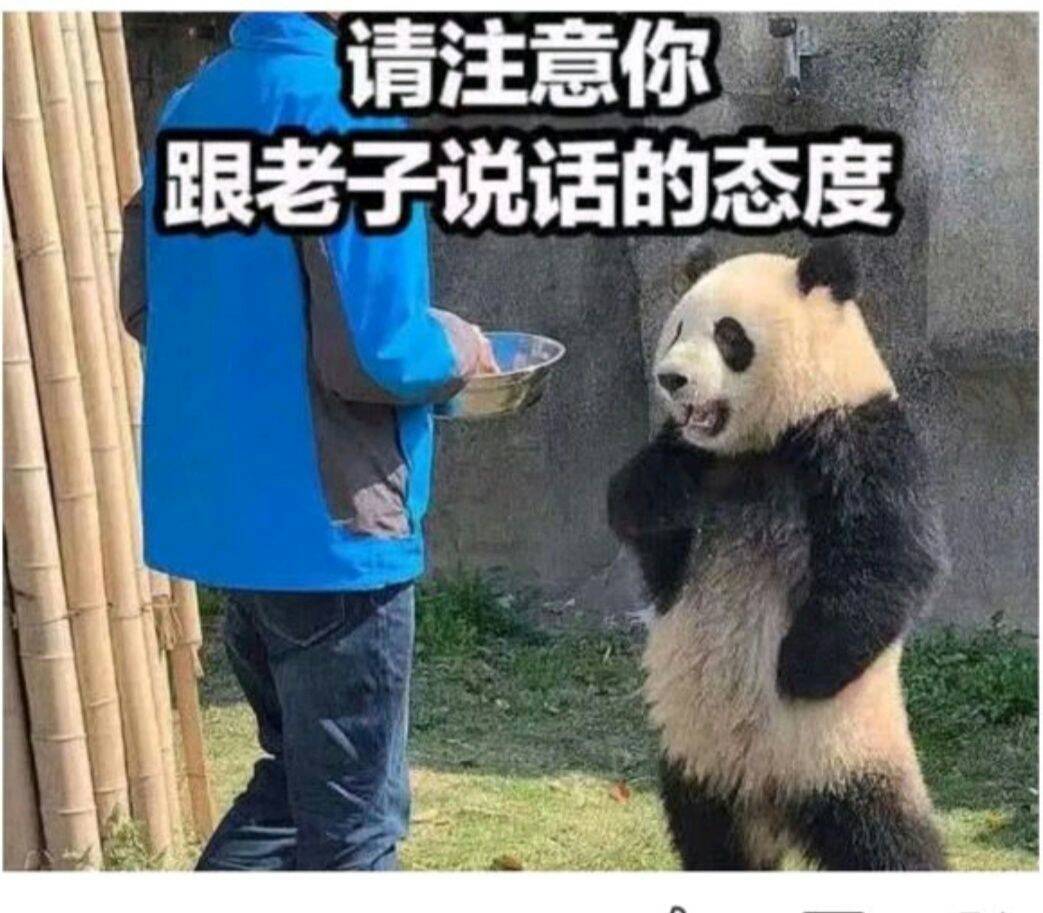 请注意你跟老子说话的态度