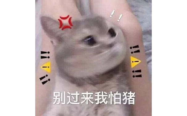 别过来我怕猪