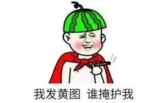 我发黄图谁掩护我