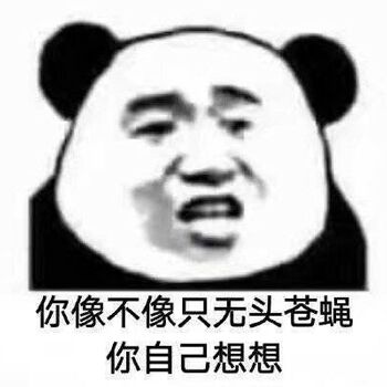 你像不像只无头苍蝇你自己想想