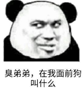 臭弟弟，在我面前狗叫什么