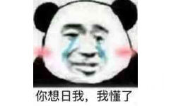 你想日我，我懂了