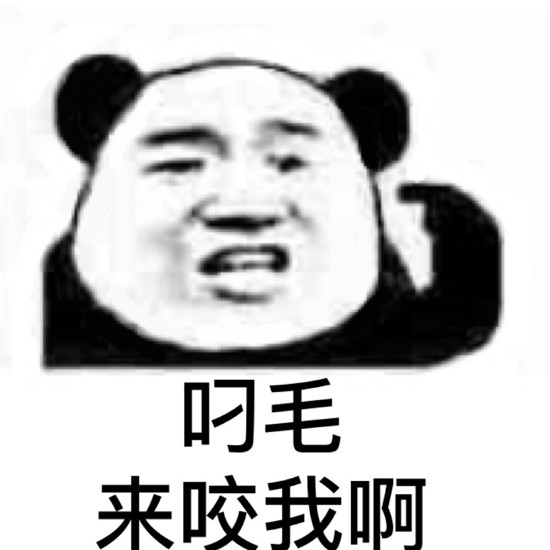 叼毛来咬我啊