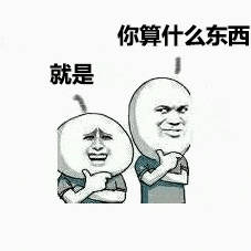 你算什么东西就是