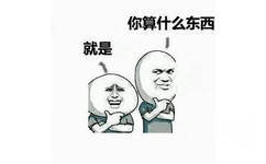 你算什么东西就是