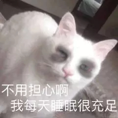 不用担心啊，我每天睡眠很充足