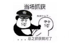 当场抓获我做什么了。。。总之抓获就对了