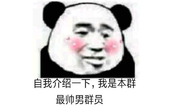 自我介绍一下，我是本群最帅男群员