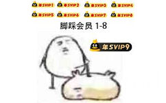 SVIP9