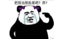 把我当憨批是吧？昂？