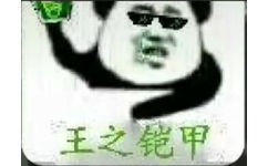 王之铠甲