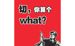 切，你算个what？