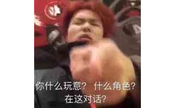 你什么玩意？什么角色？在这对话？