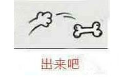 出来吧