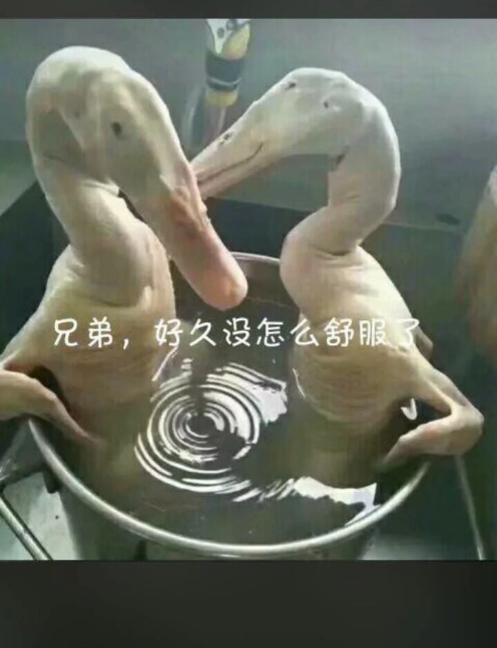 兄弟，好久没怎么舒服