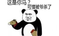 这是你马可惜被爷杀了