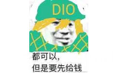 DIO都可以，但是要先给钱