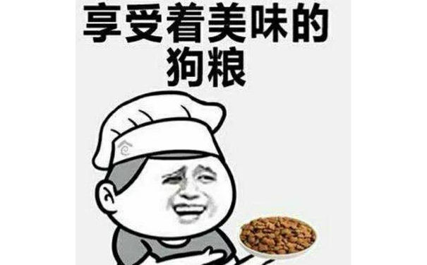 享受着美味的狗粮