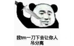 我tm一刀下去让你人吊分离