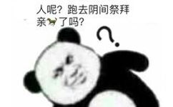 人呢？跑去阴间祭拜亲了吗？