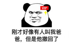 VIP用户，刚才好像有人叫我爸爸，但是他撤回了