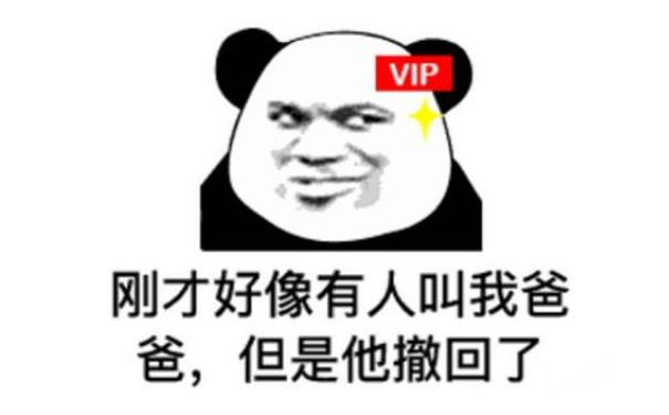 VIP用户，刚才好像有人叫我爸爸，但是他撤回了