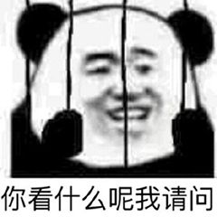 你看什么呢，我请问