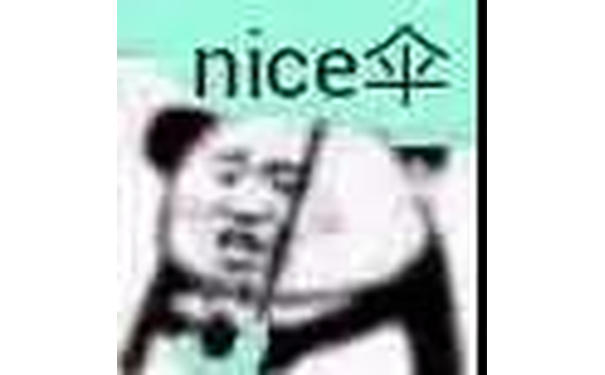 nice伞