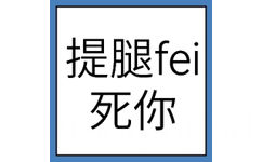 提腿fei死你