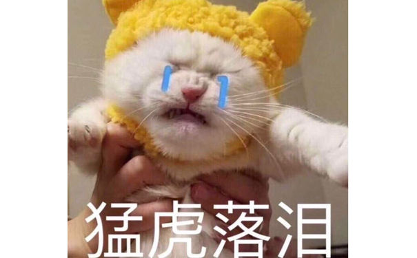 猛虎落泪