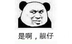 是啊，靓仔