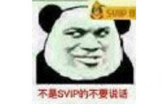 不是SVIP的不要说话